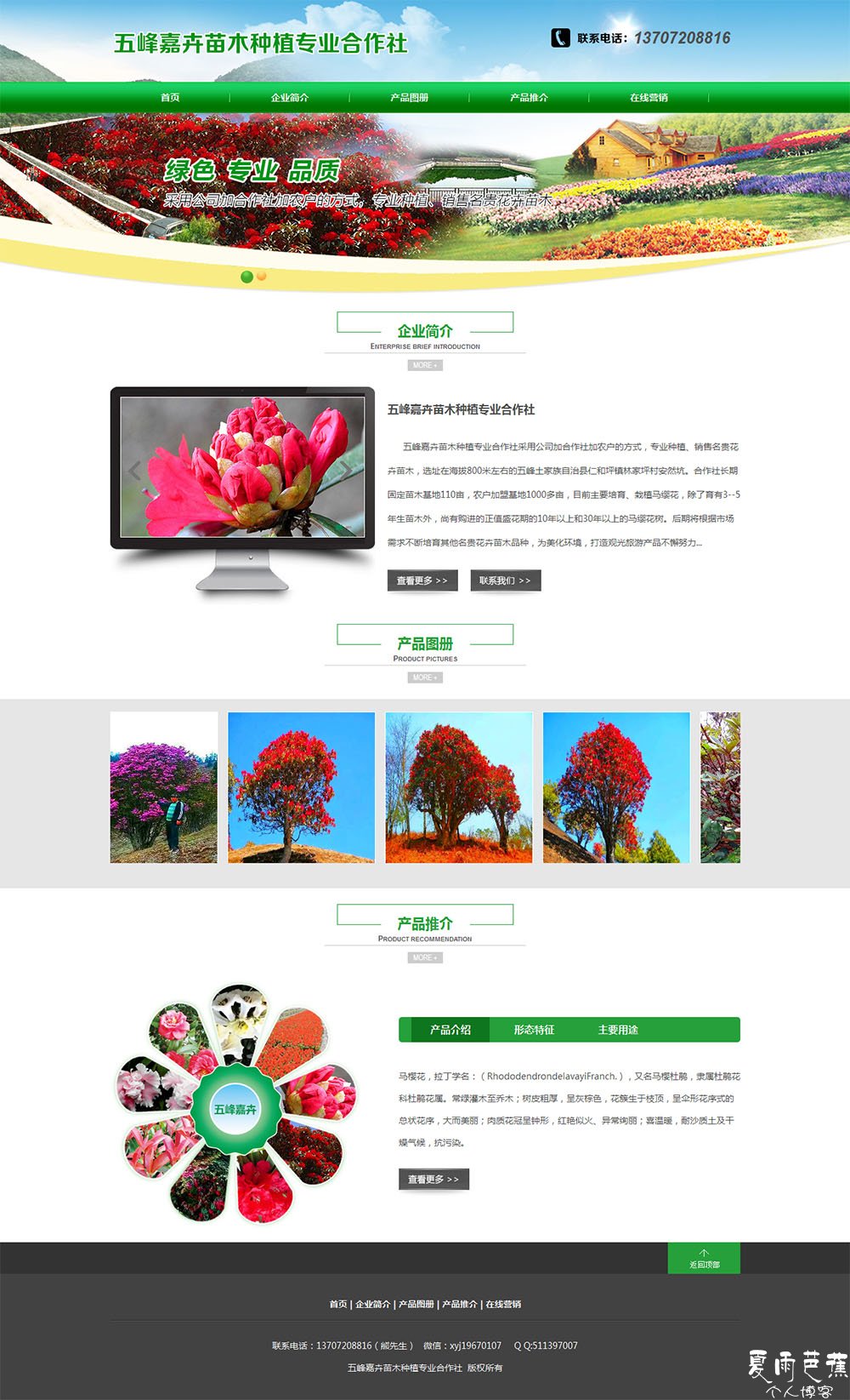 五峰嘉卉苗木种植专业合作社